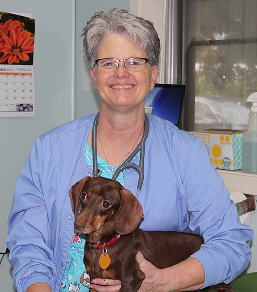 Dr simon's pet sales clinic
